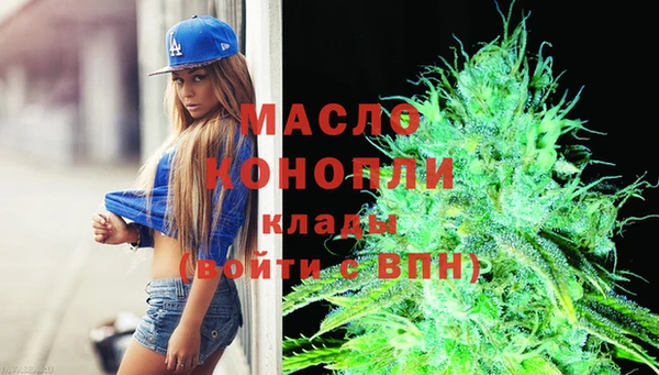гашик Инта