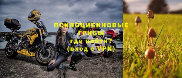 гашик Абаза