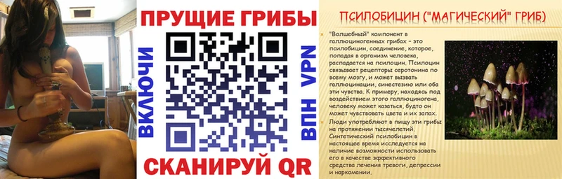 hydra онион  Бежецк  Галлюциногенные грибы MAGIC MUSHROOMS 