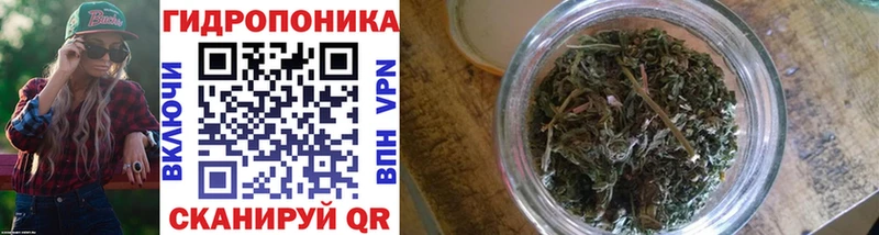 сайты даркнета какой сайт  Бежецк  Канабис Ganja  цены  